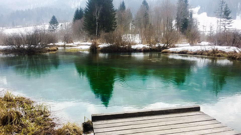 Апартаменты Alpine Spot Краньска Гора Экстерьер фото