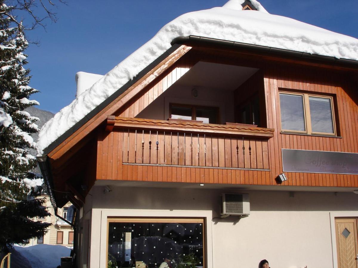 Апартаменты Alpine Spot Краньска Гора Номер фото